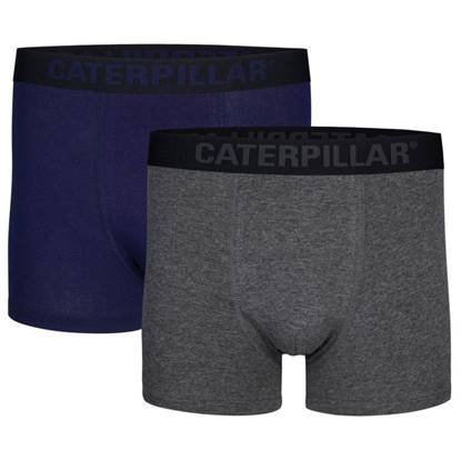 caterpillar boxer